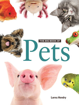cover image of The Big Book of Pets